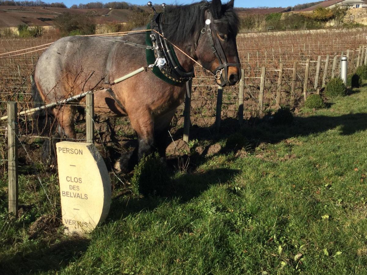 Le Clos Des Belvals Blancs-Coteaux Exterior foto