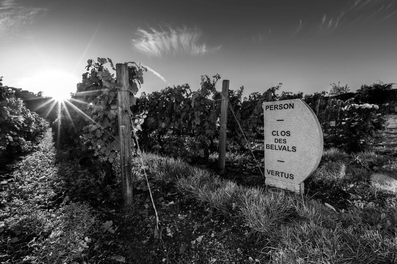 Le Clos Des Belvals Blancs-Coteaux Exterior foto